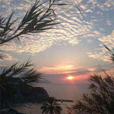 云开平台登录app截图